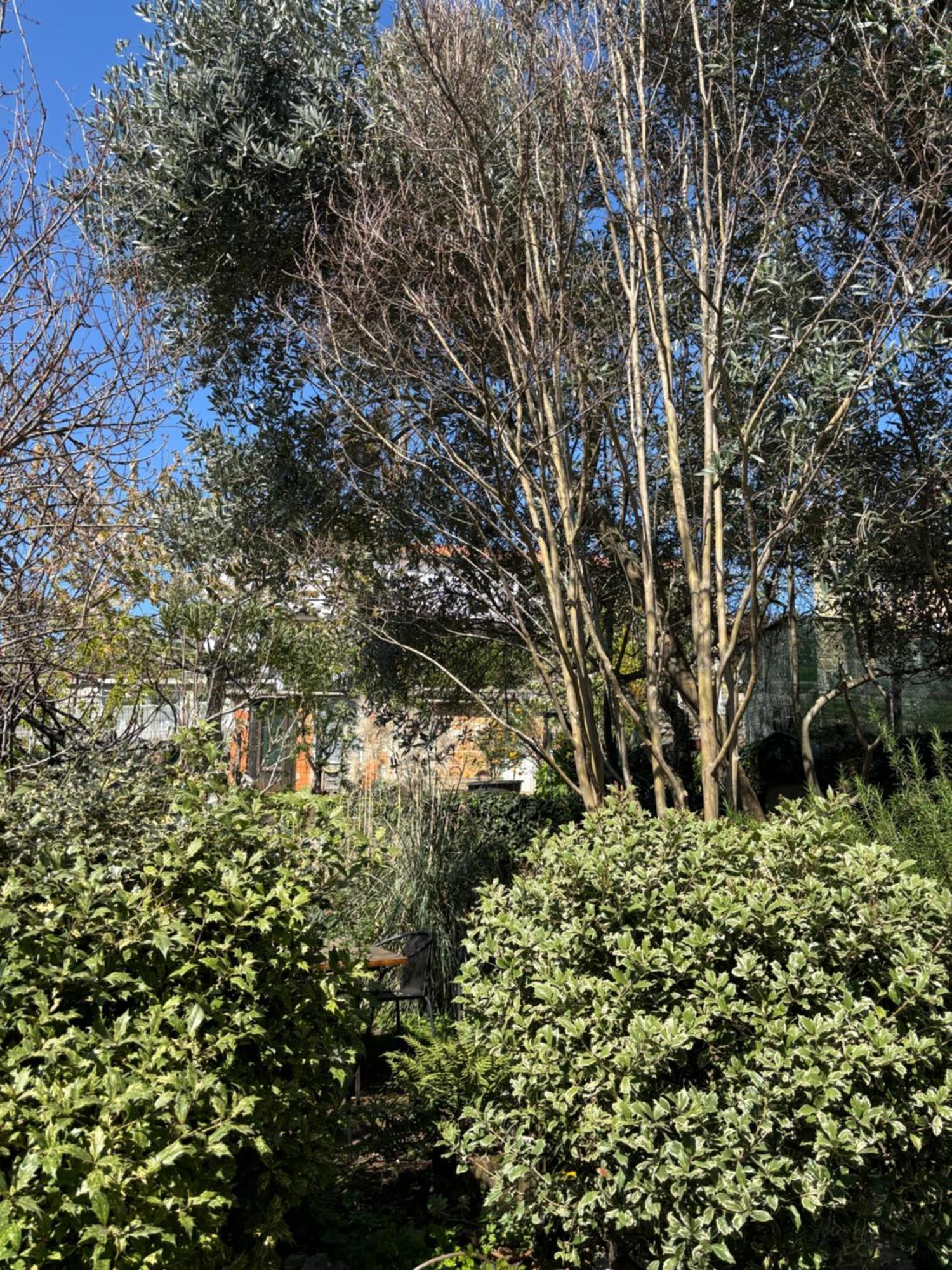 Appartamento House Demaro Matulji Esterno foto